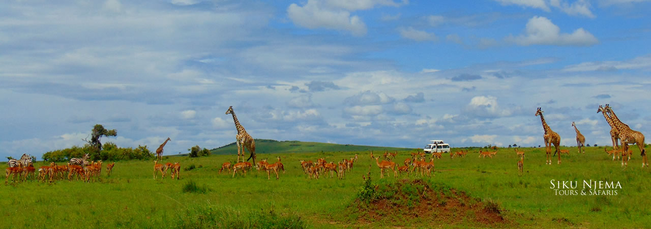 4 Days Masai Mara and Lake Nakuru Kenya Safari